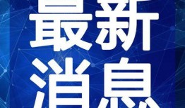新闻爆料小伙视频大全,揭秘网络红人背后的故事